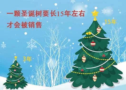 中國最早報道圣誕節的竟是《人民日報》，你不知道的10個圣誕小知識